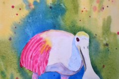 Wading Spoonbill