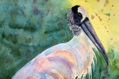 Woodstork On Green