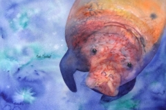 Vanity Manatee