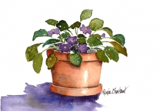 Grandma's Little Violets I