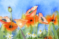 Poppies Landscape