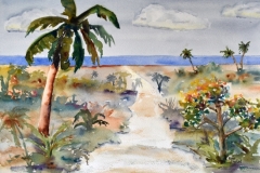 Beach Path